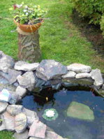 turtle pond.JPG